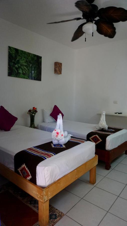 Selva Y Mar Apart Hotel Playa del Carmen Luaran gambar
