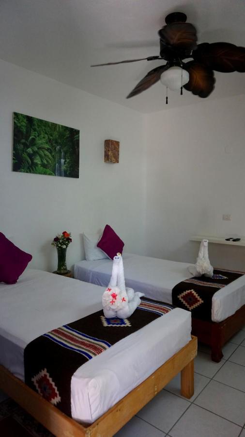 Selva Y Mar Apart Hotel Playa del Carmen Luaran gambar